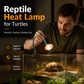 Reptile Heat Lamp for Turtles