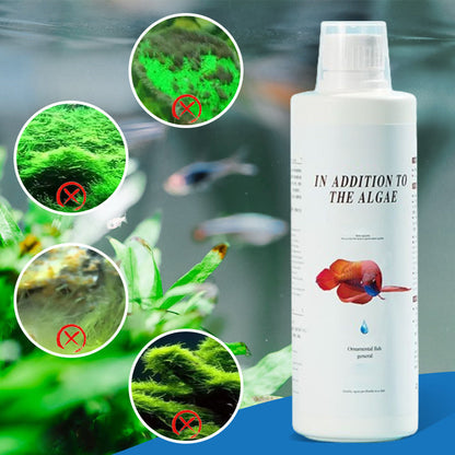 Effective Algae Control for Aquarium🌿
