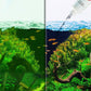 Effective Algae Control for Aquarium🌿