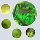 Effective Algae Control for Aquarium🌿