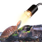 Reptile Heat Lamp for Turtles