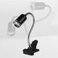 Reptile Heat Lamp for Turtles
