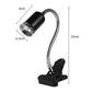Reptile Heat Lamp for Turtles